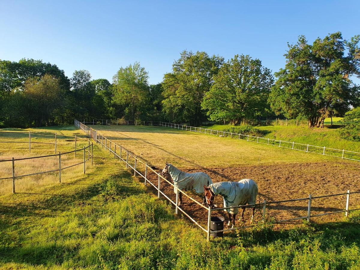 Ferme Equestre & Chambres D'Hotes Gateau Stables Proche Guedelon Saint-Amand-en-Puisaye 外观 照片