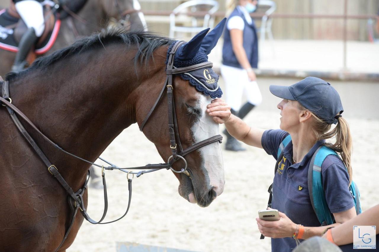 Ferme Equestre & Chambres D'Hotes Gateau Stables Proche Guedelon Saint-Amand-en-Puisaye 外观 照片