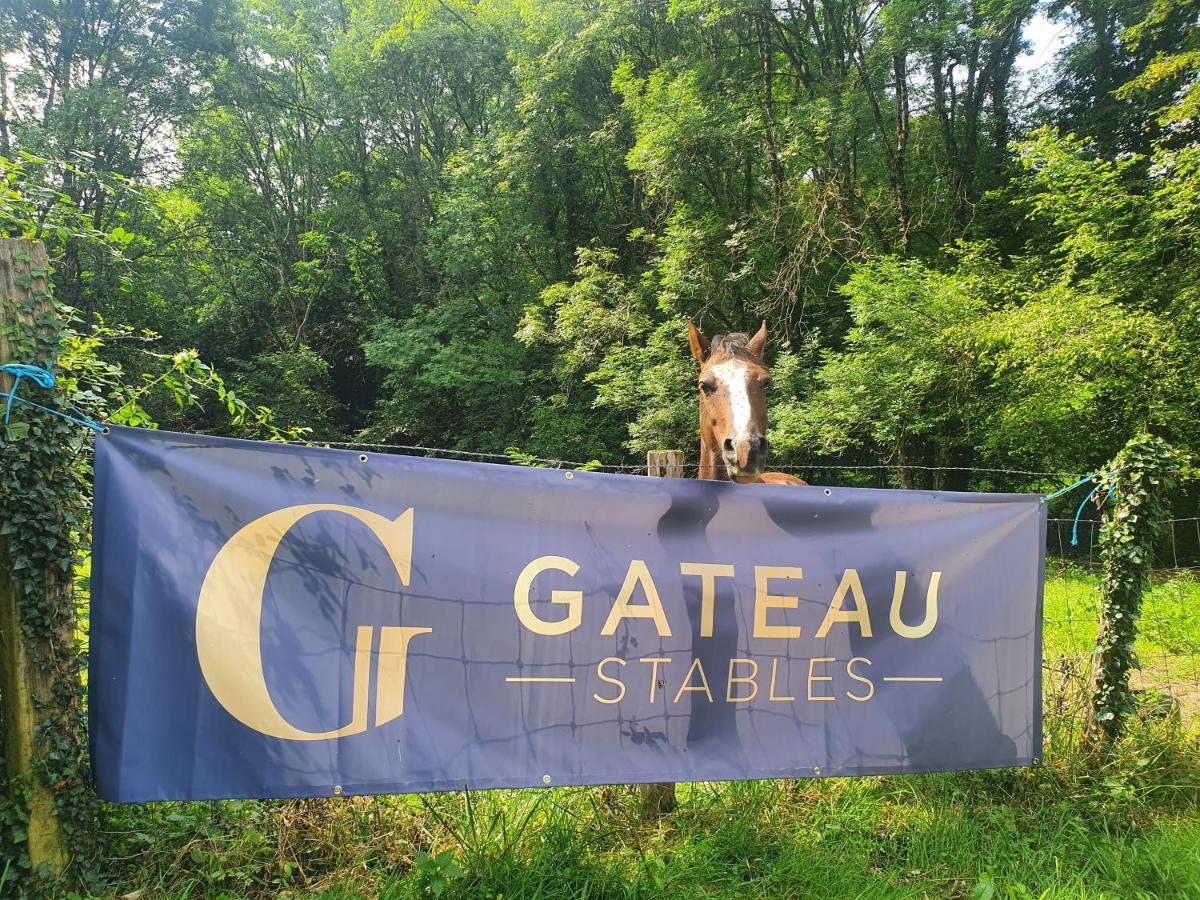Ferme Equestre & Chambres D'Hotes Gateau Stables Proche Guedelon Saint-Amand-en-Puisaye 外观 照片