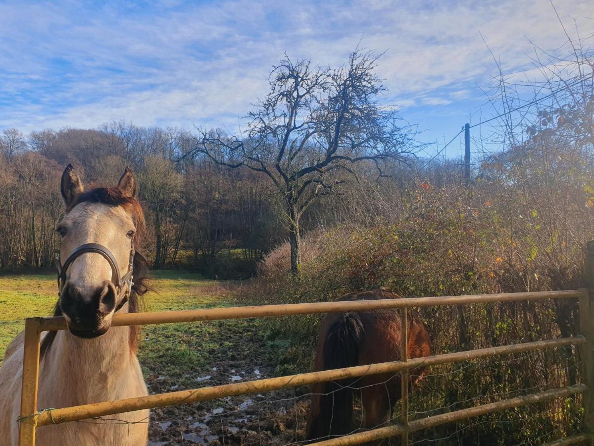 Ferme Equestre & Chambres D'Hotes Gateau Stables Proche Guedelon Saint-Amand-en-Puisaye 外观 照片