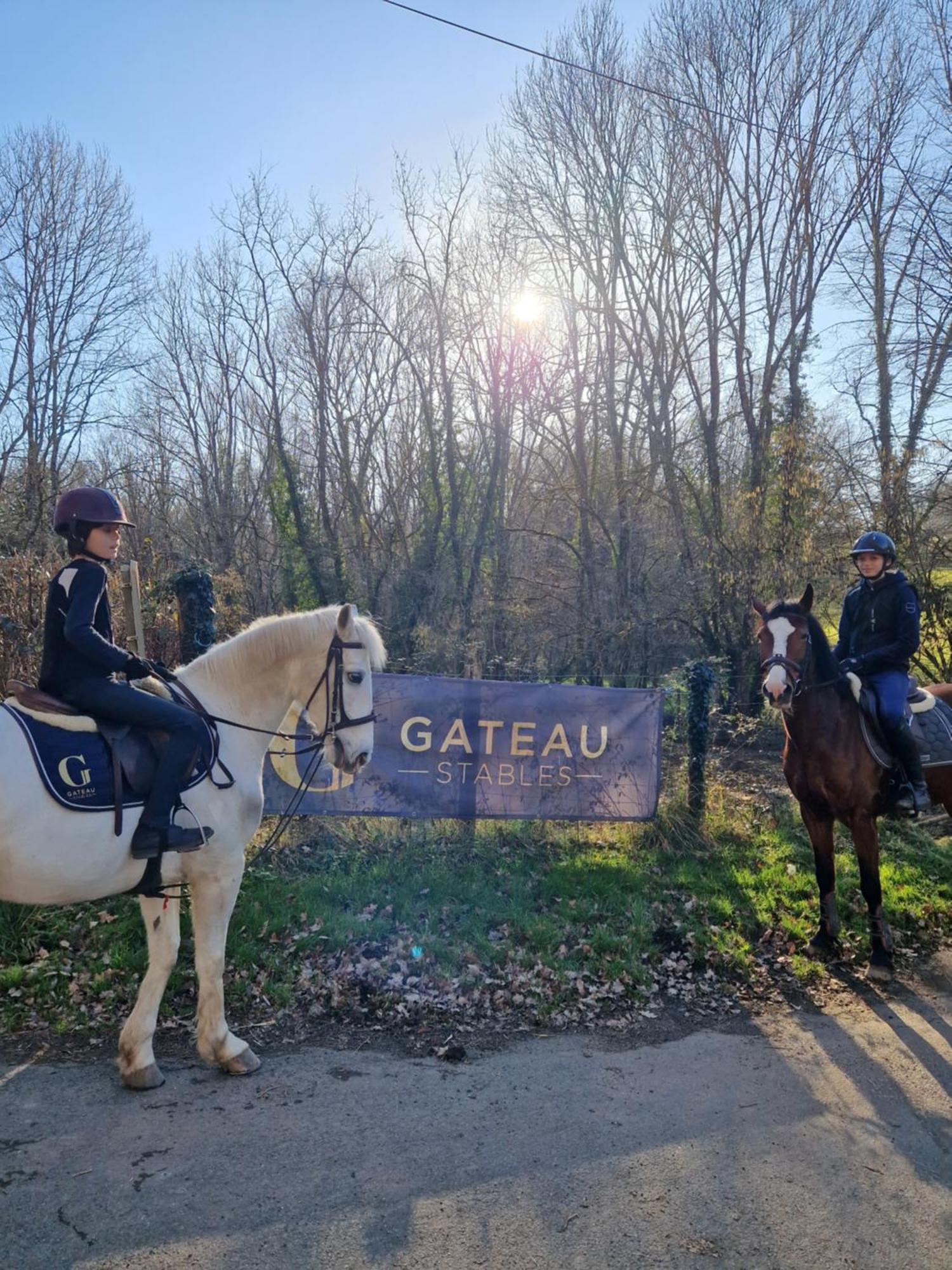 Ferme Equestre & Chambres D'Hotes Gateau Stables Proche Guedelon Saint-Amand-en-Puisaye 外观 照片