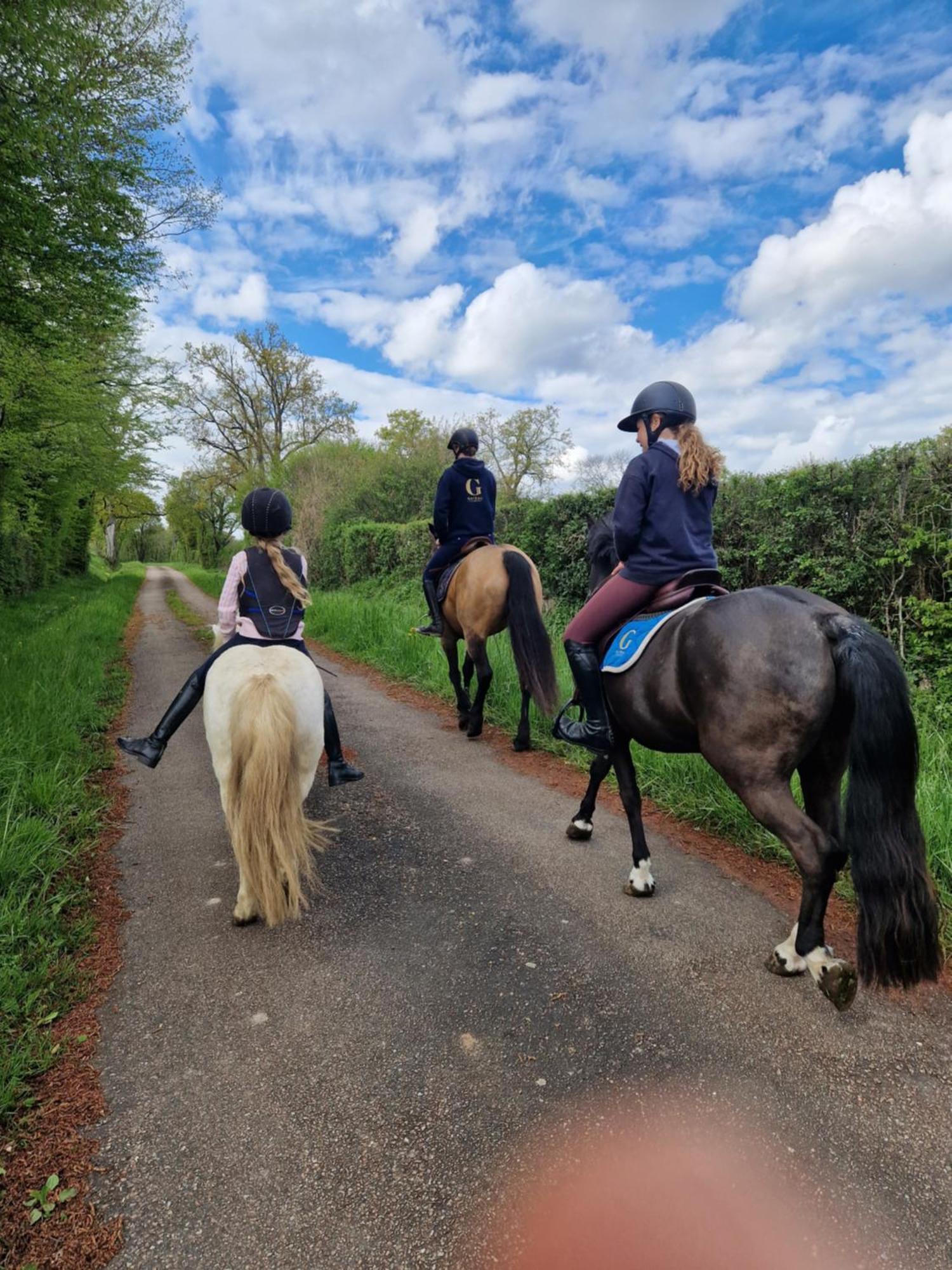 Ferme Equestre & Chambres D'Hotes Gateau Stables Proche Guedelon Saint-Amand-en-Puisaye 外观 照片