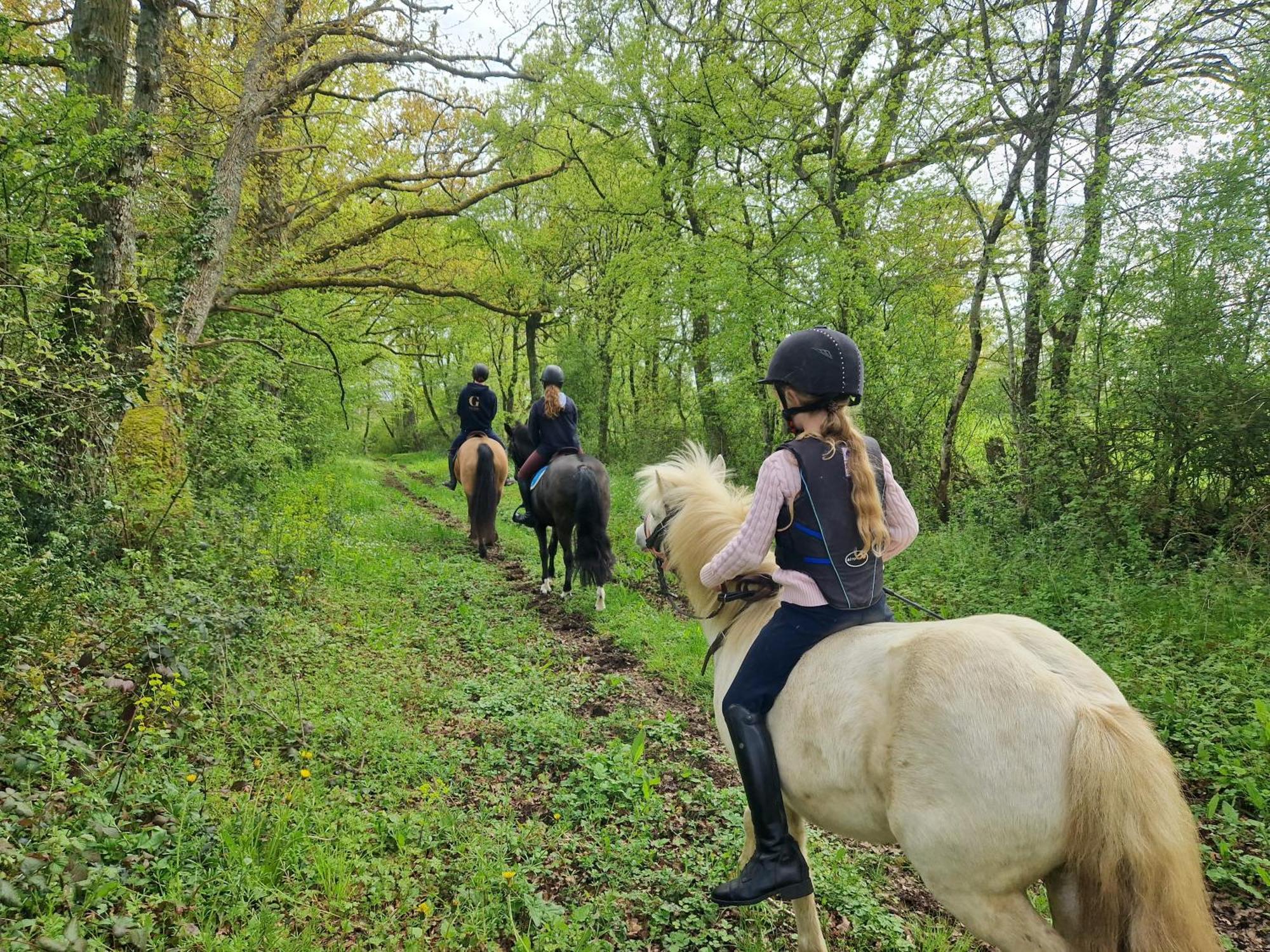 Ferme Equestre & Chambres D'Hotes Gateau Stables Proche Guedelon Saint-Amand-en-Puisaye 外观 照片