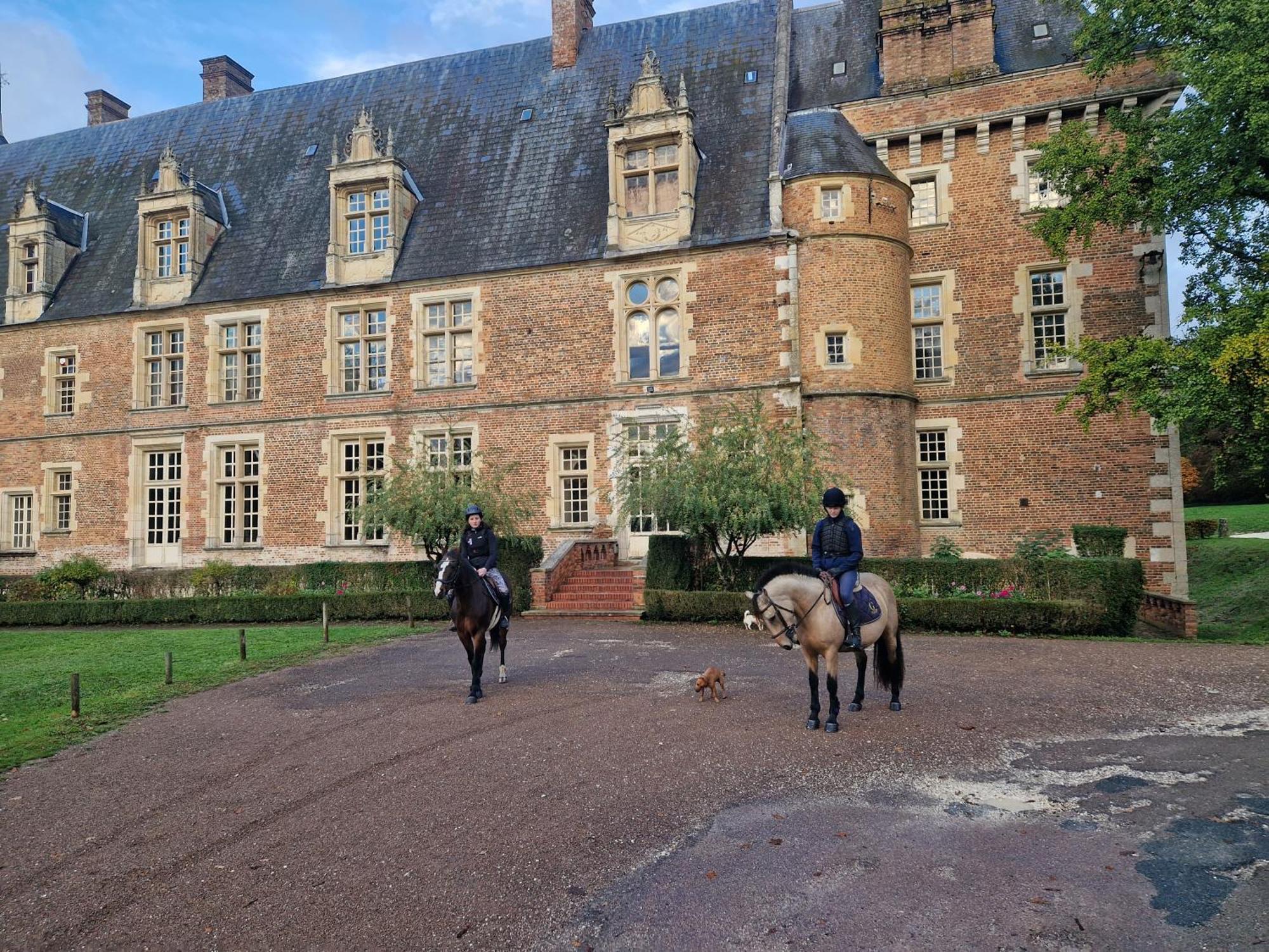 Ferme Equestre & Chambres D'Hotes Gateau Stables Proche Guedelon Saint-Amand-en-Puisaye 外观 照片