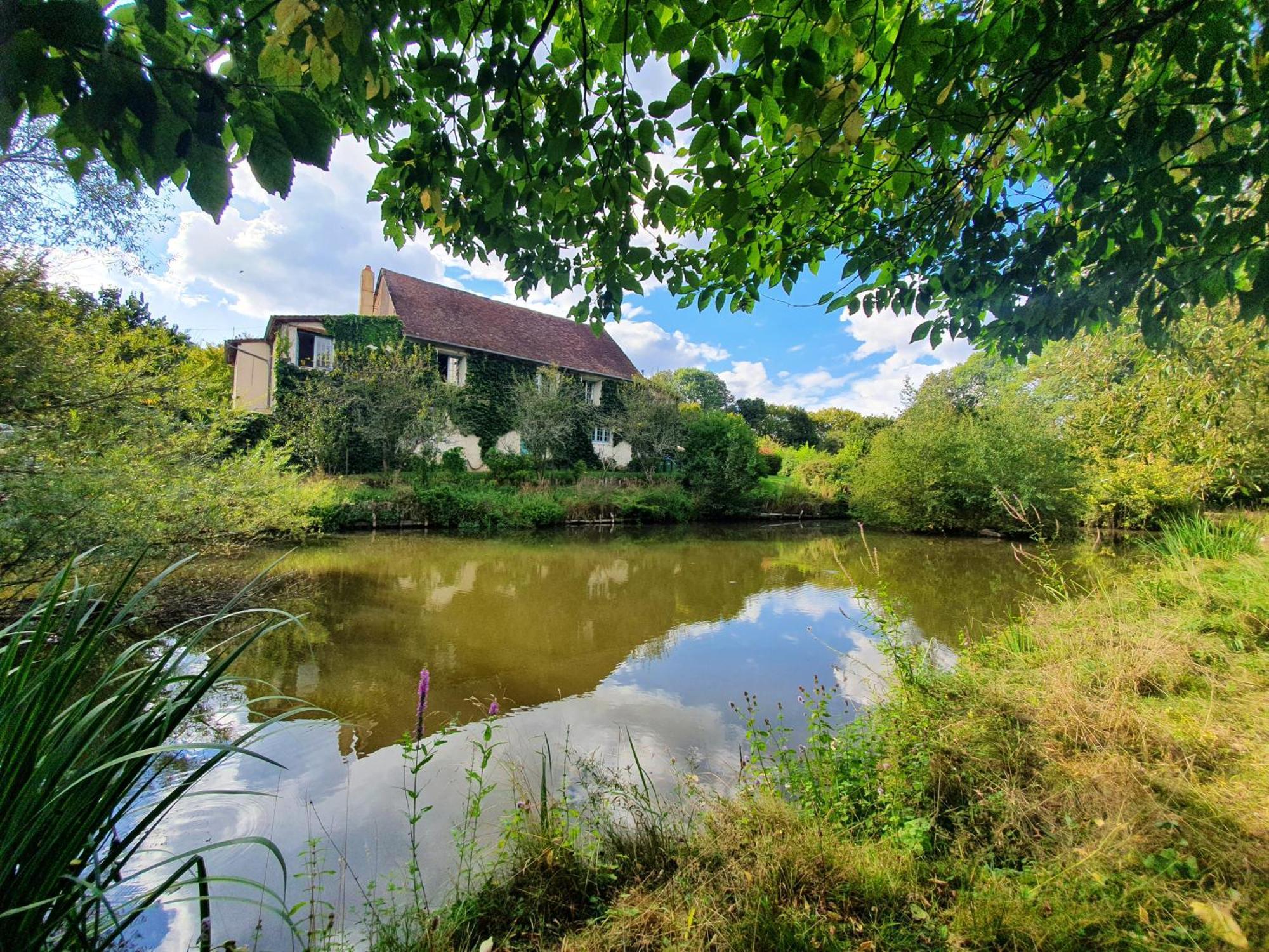 Ferme Equestre & Chambres D'Hotes Gateau Stables Proche Guedelon Saint-Amand-en-Puisaye 外观 照片