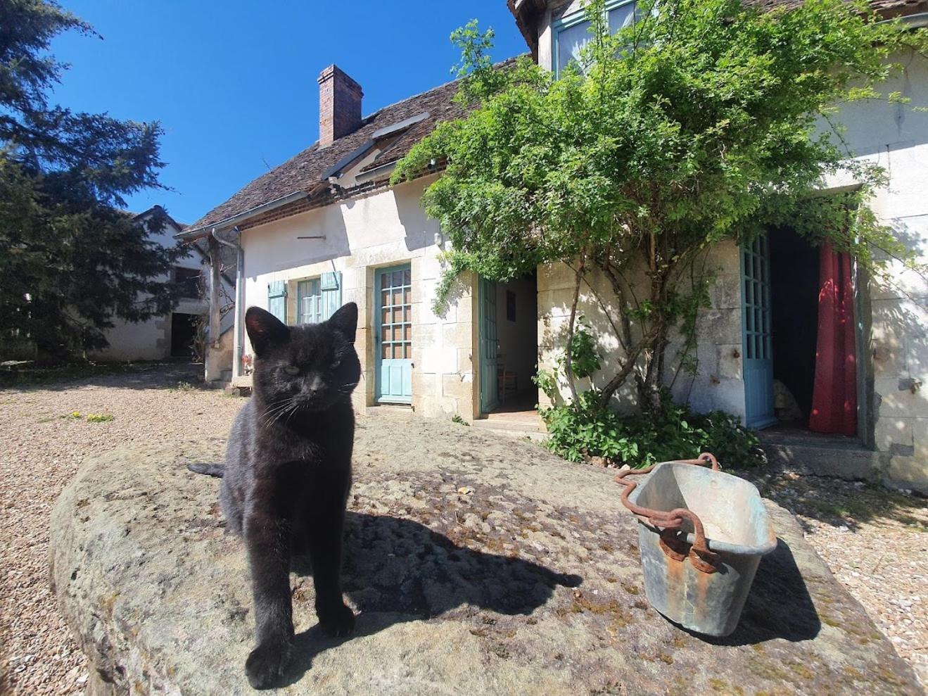 Ferme Equestre & Chambres D'Hotes Gateau Stables Proche Guedelon Saint-Amand-en-Puisaye 外观 照片