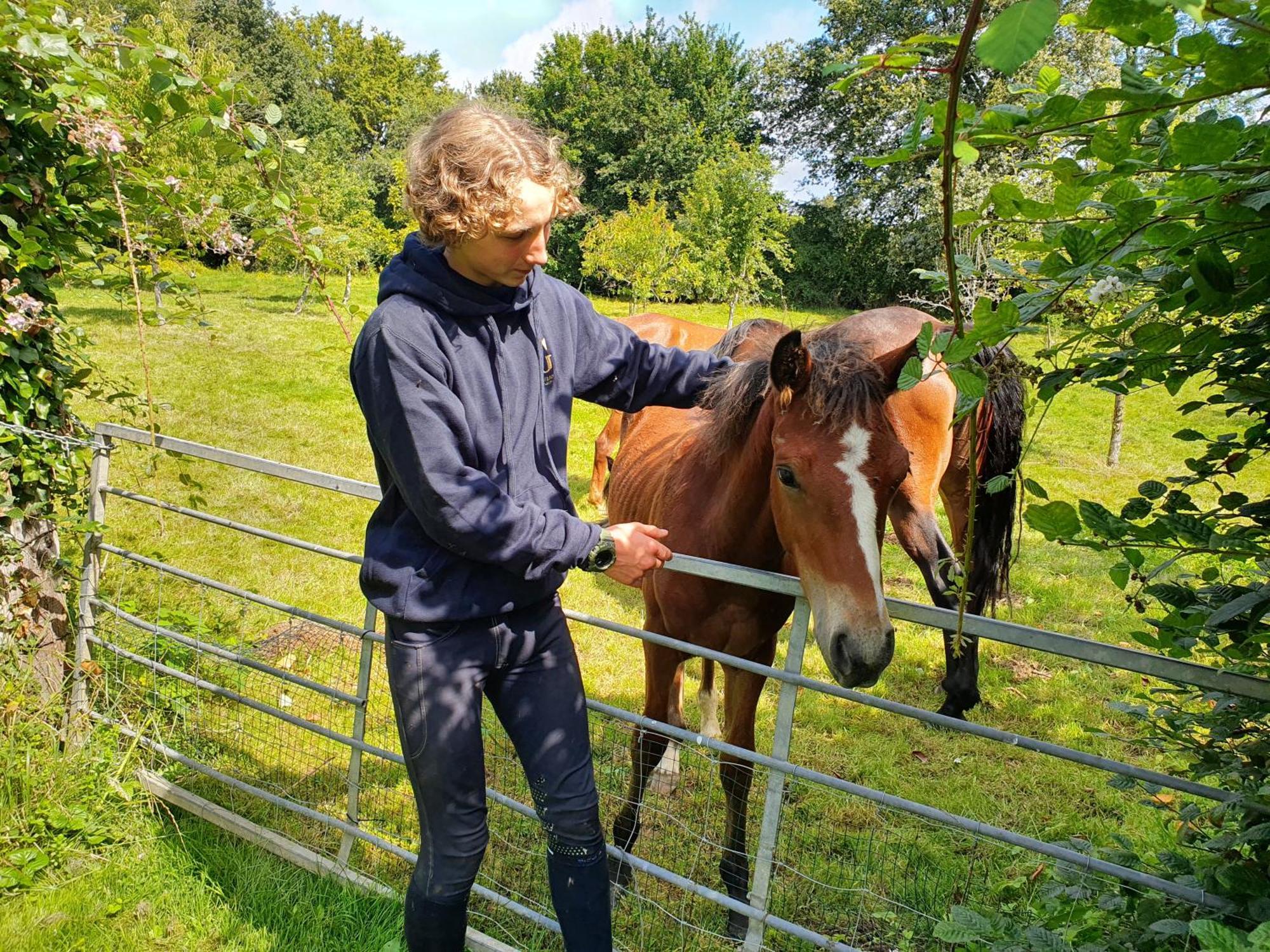 Ferme Equestre & Chambres D'Hotes Gateau Stables Proche Guedelon Saint-Amand-en-Puisaye 外观 照片