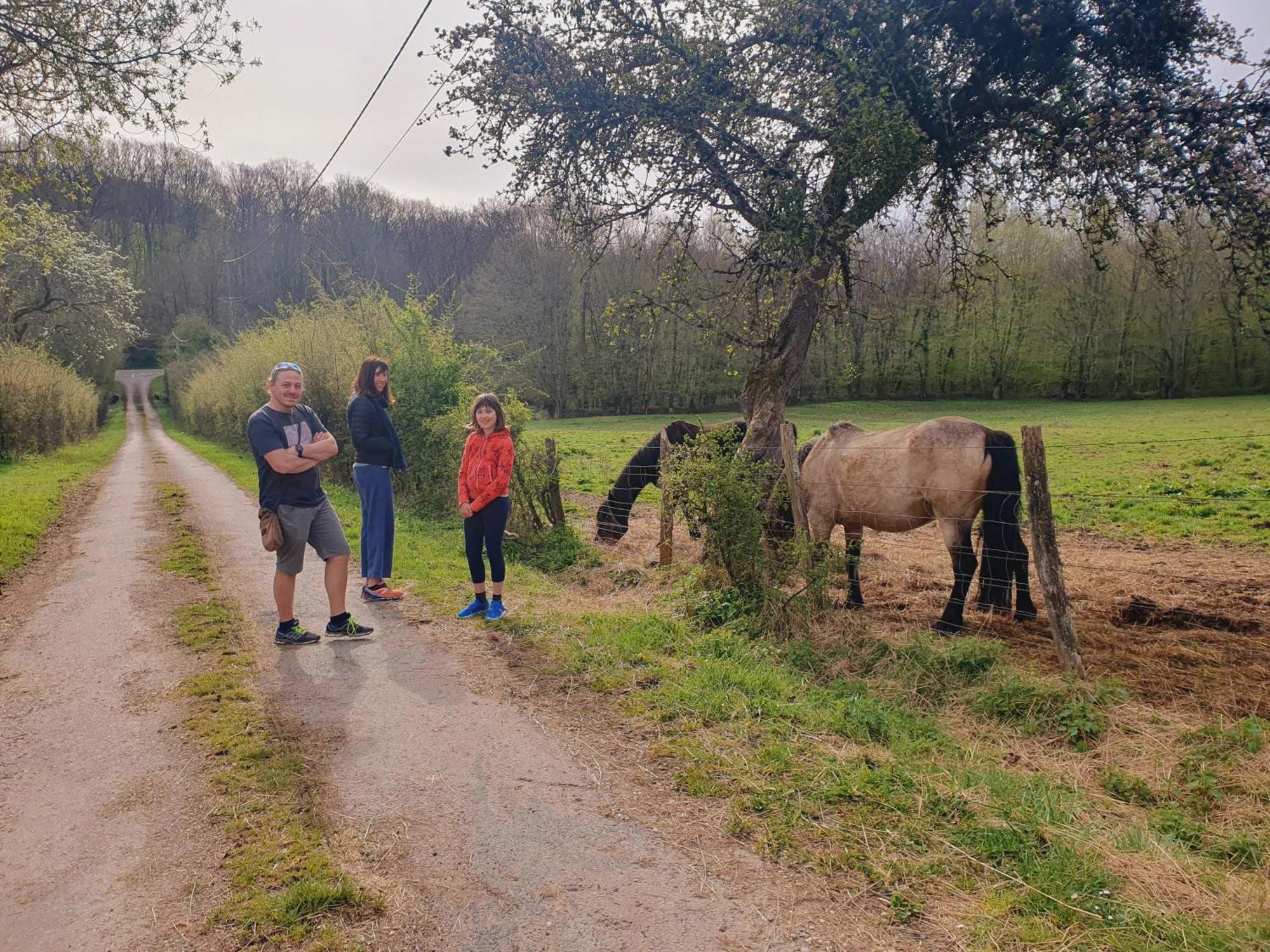 Ferme Equestre & Chambres D'Hotes Gateau Stables Proche Guedelon Saint-Amand-en-Puisaye 外观 照片