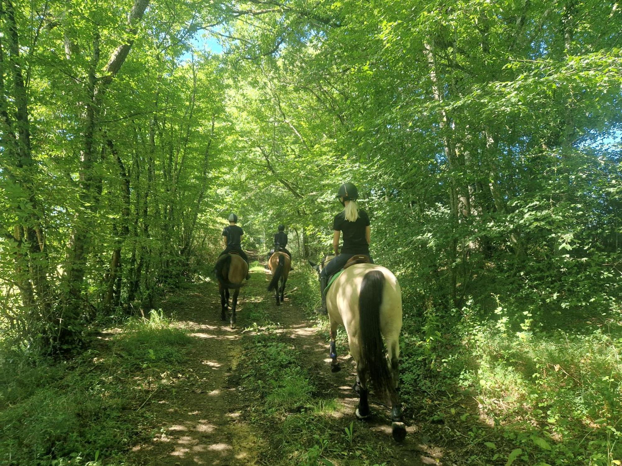 Ferme Equestre & Chambres D'Hotes Gateau Stables Proche Guedelon Saint-Amand-en-Puisaye 外观 照片